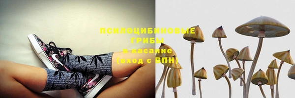 МДПВ Елизово
