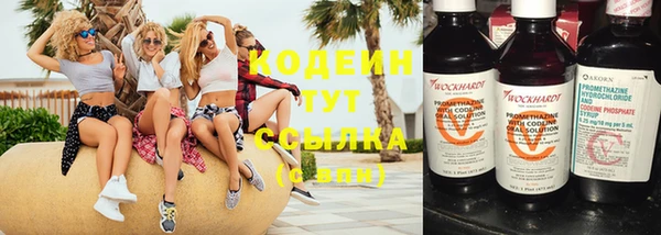 мескалин Ельня