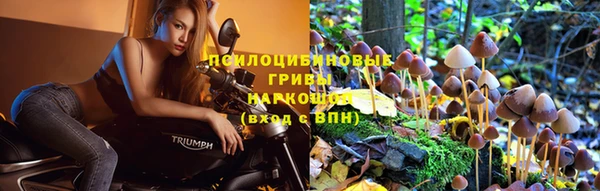 мескалин Ельня