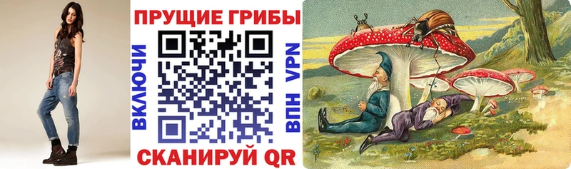 Купить где  Ишимбай  Псилоцибиновые грибы Psilocybine cubensis 