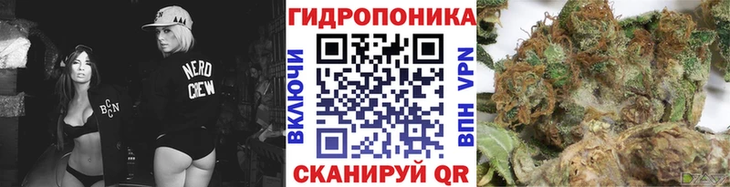 Канабис OG Kush  Купить  Ишимбай 
